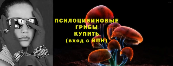 мяу мяу мука Горно-Алтайск